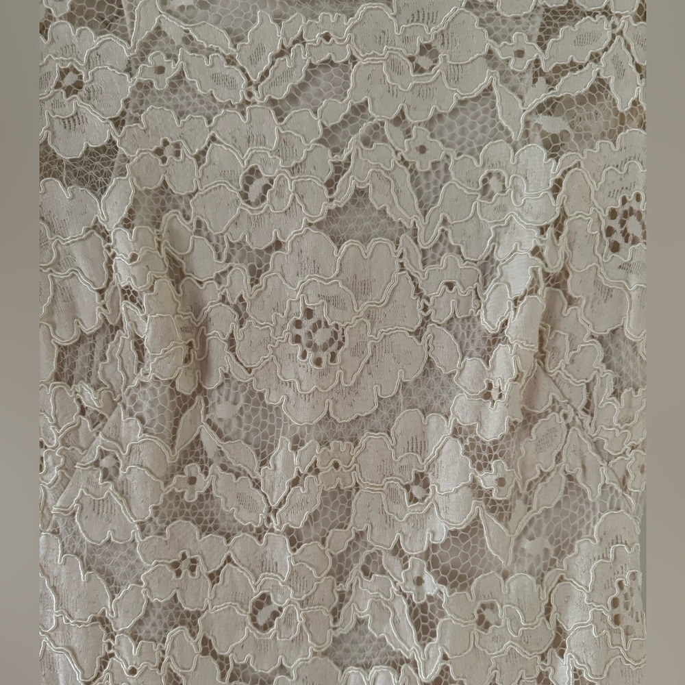 Lauren Ralph Lauren Sheath Floral Lace Dress in Ivory - Picture 4 of 7